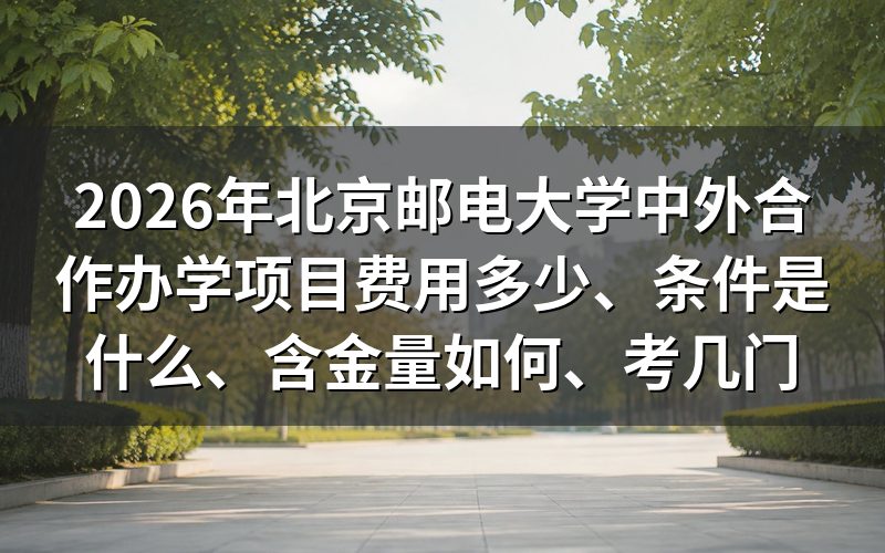 中外合作办学项目的费用是多少?