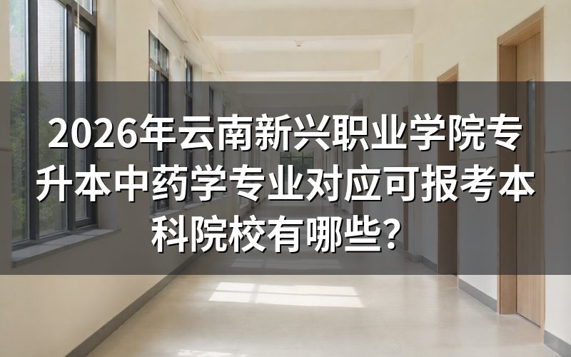 自考与成考核心对比
