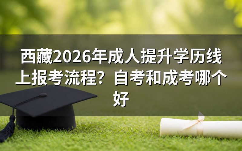 自考和成考的核心区别是什么?