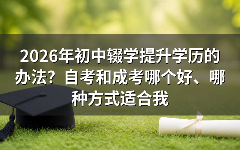 自考和成考的核心区别对比