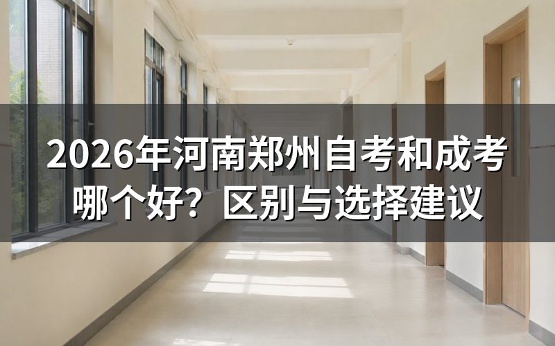 核心对比表格