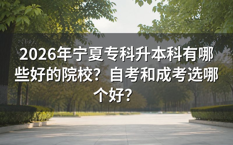 宁夏自考和成考核心对比表