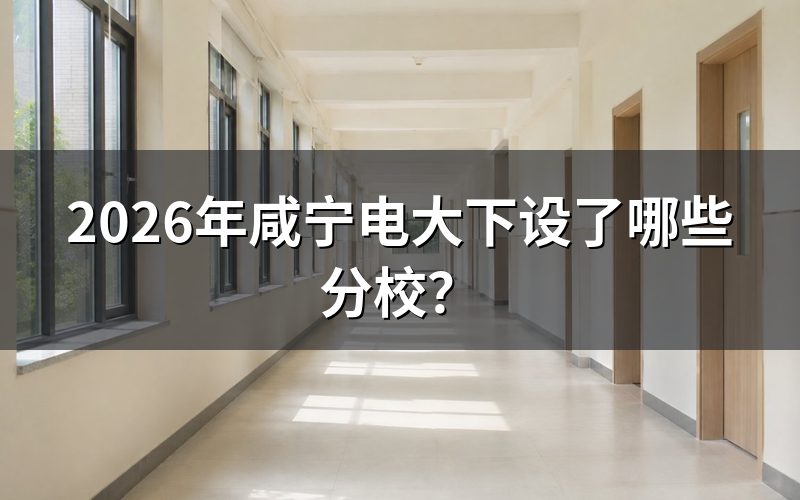 咸宁电大具体有哪些分校?