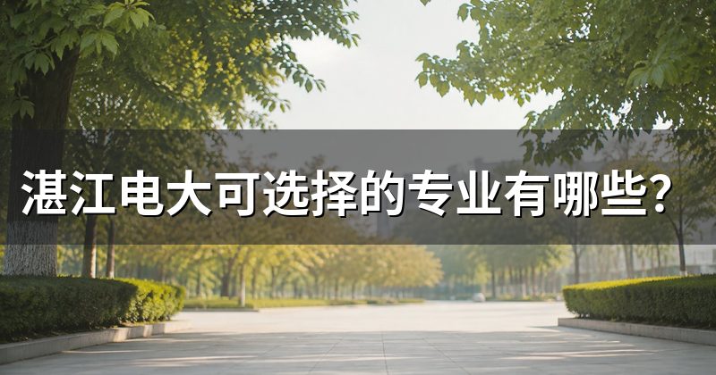 湛江电大可选择的专业有哪些？