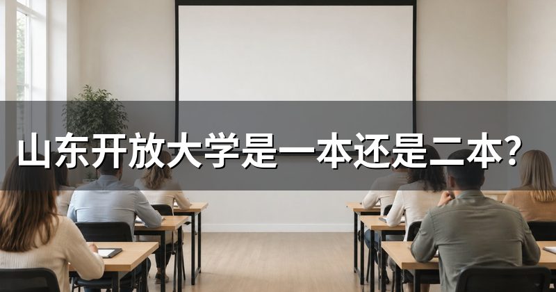 山东开放大学是一本还是二本？