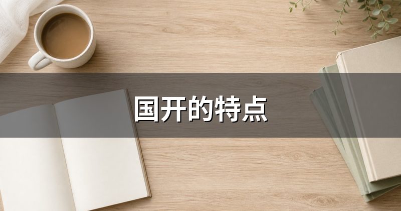 国开的特点