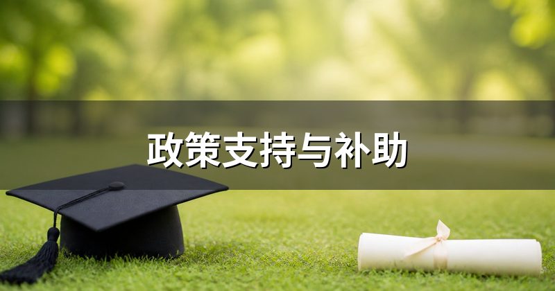 政策支持与补助
