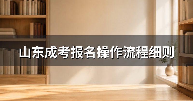 山东成考报名操作流程细则