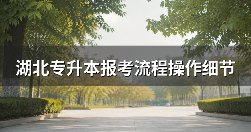 湖北专升本报考流程操作细节
