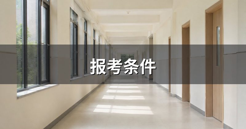 报考条件