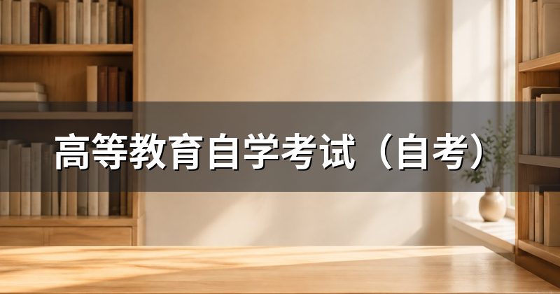 高等教育自学考试（自考）