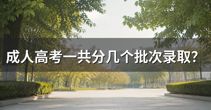 成人高考一共分几个批次录取？