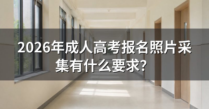 2026年成人高考报名照片采集有什么要求？