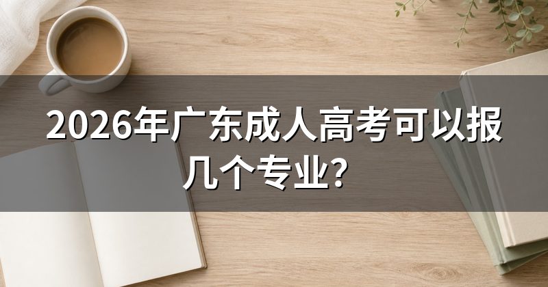 2026年广东成人高考可以报几个专业？