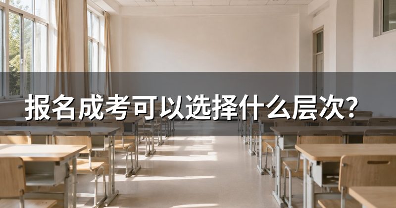 报名成考可以选择什么层次?