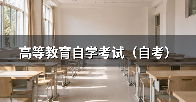 高等教育自学考试（自考）