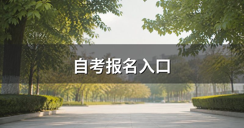 自考报名入口