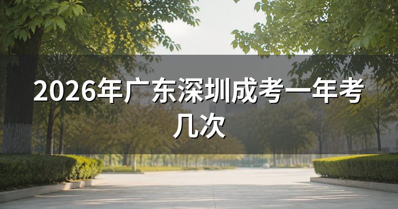 2026年广东深圳成考一年考几次