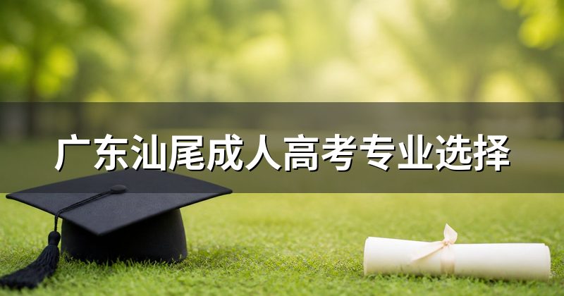 广东汕尾成人高考专业选择