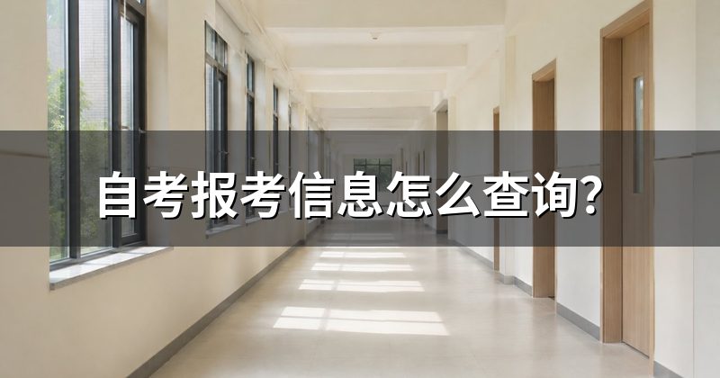 自考报考信息怎么查询？