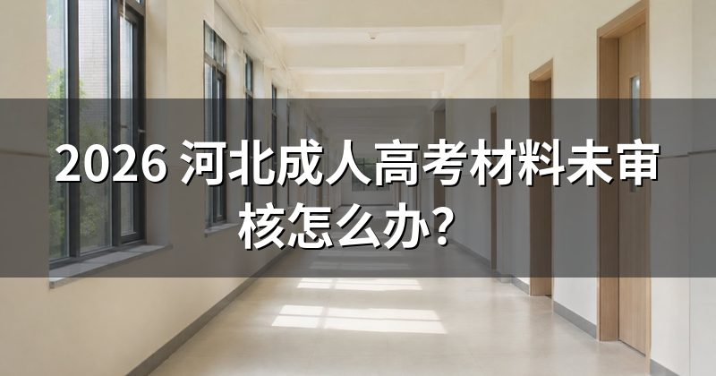 2026 河北成人高考材料未审核怎么办？