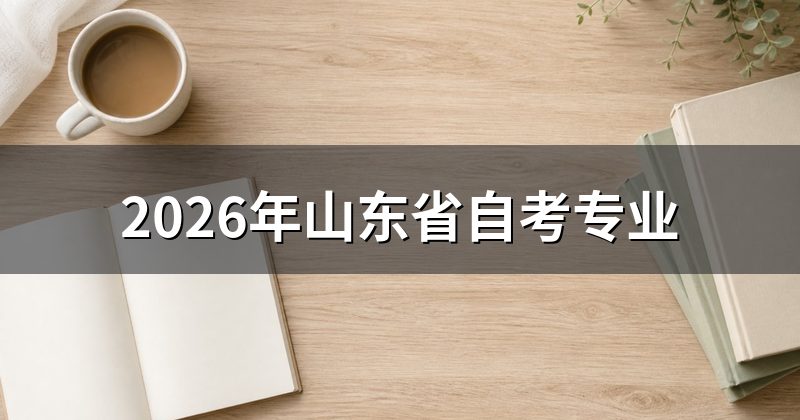 2026年山东省自考专业
