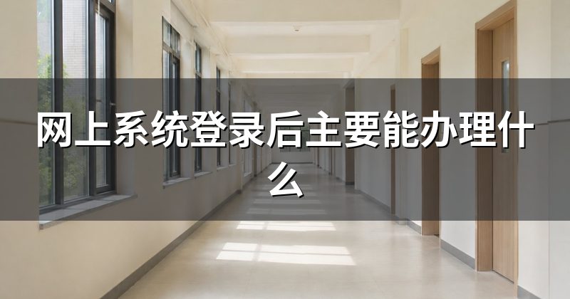 网上系统登录后主要能办理什么