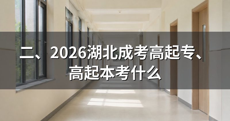 二、2026湖北成考高起专、高起本考什么