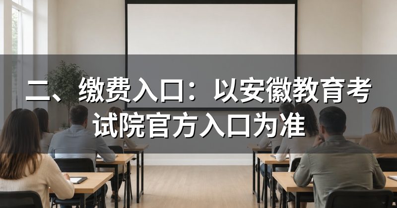 二、缴费入口:以安徽教育考试院官方入口为准