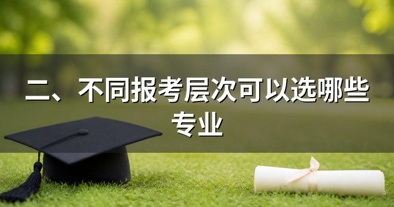 二、不同报考层次可以选哪些专业