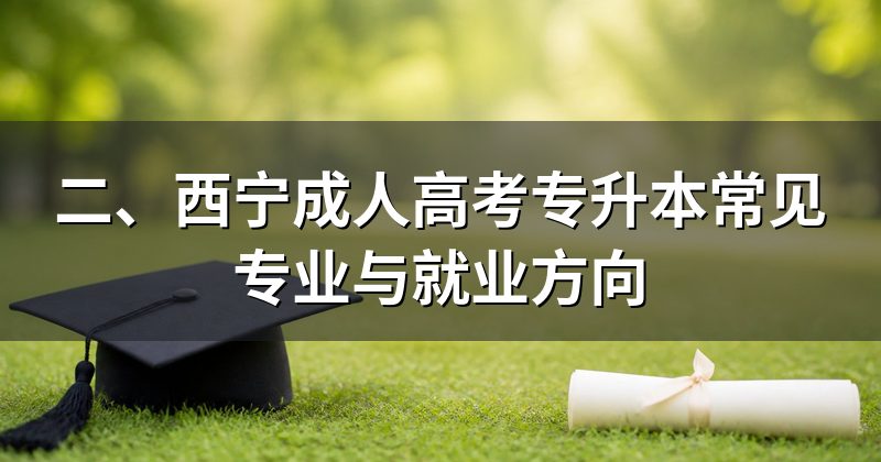二、西宁成人高考专升本常见专业与就业方向