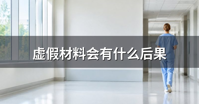虚假材料会有什么后果