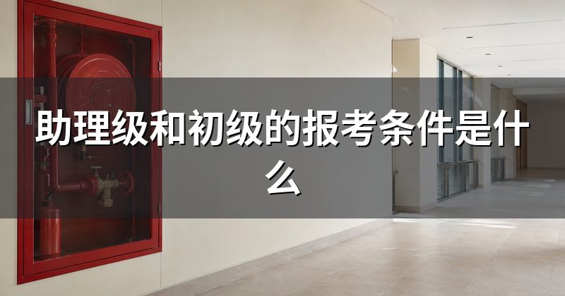 助理级和初级的报考条件是什么