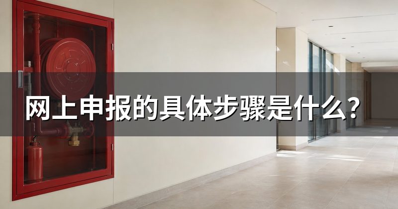 网上申报的具体步骤是什么?