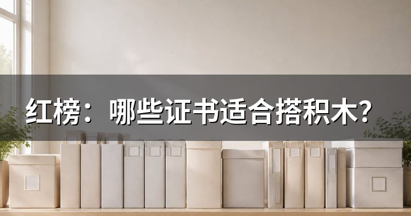 红榜：哪些证书适合搭积木？