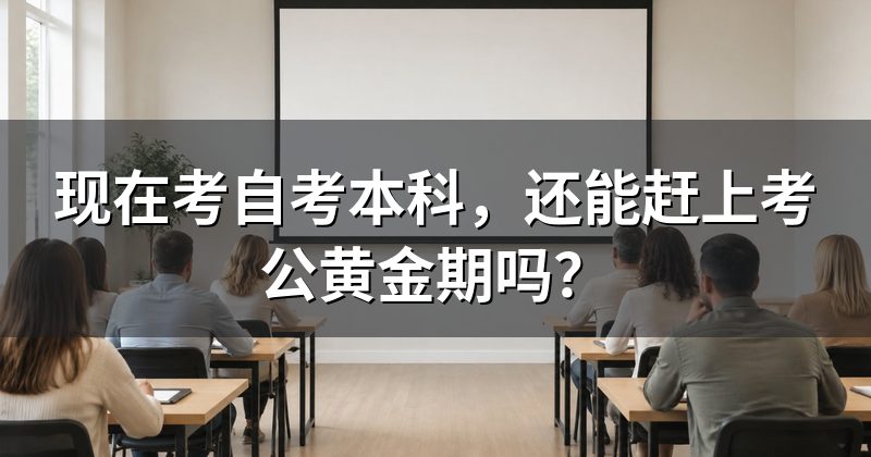 现在考自考本科,还能赶上考公黄金期吗?