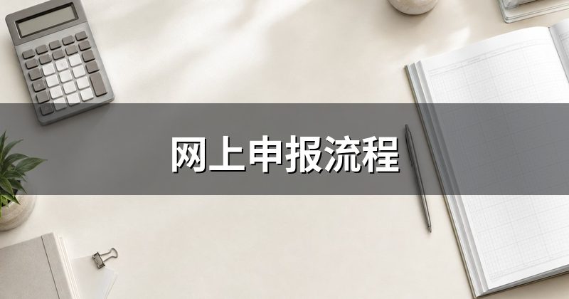 网上申报流程