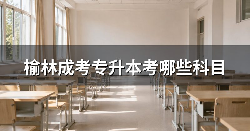 榆林成考专升本考哪些科目