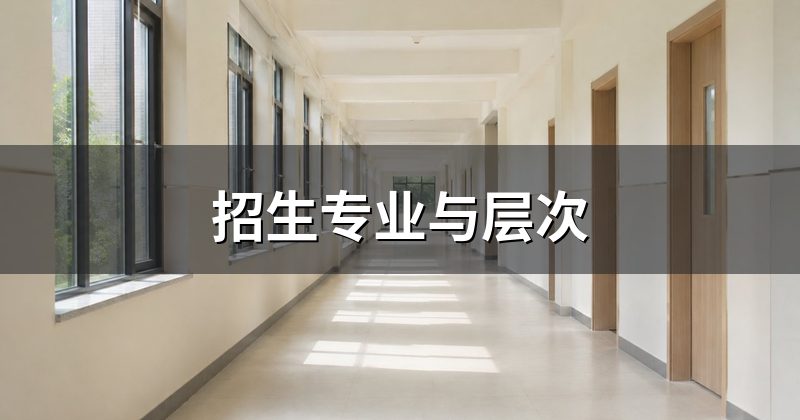 招生专业与层次
