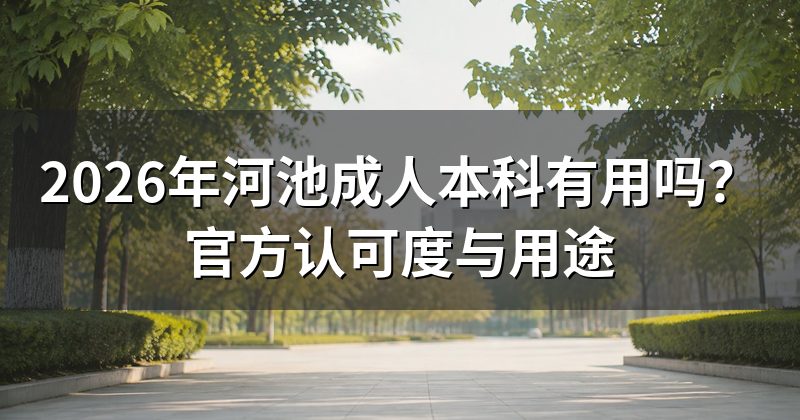 2026年河池成人本科有用吗？官方认可度与用途