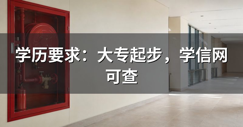 学历要求:大专起步,学信网可查