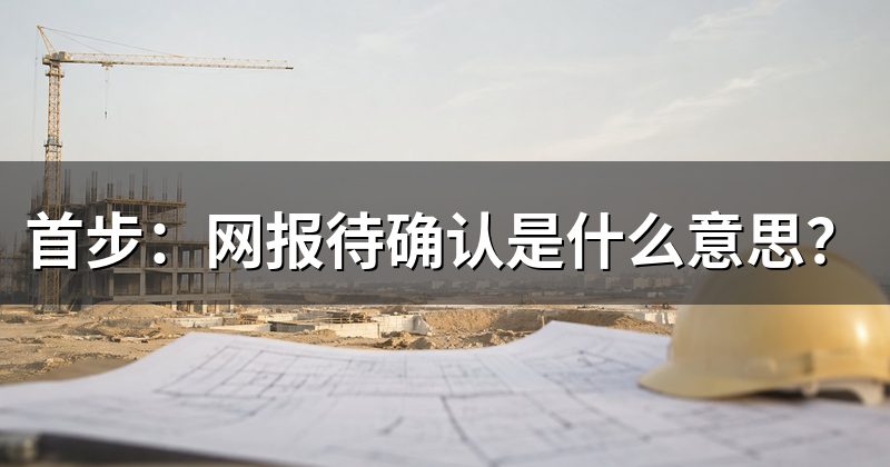 首步:网报待确认是什么意思?