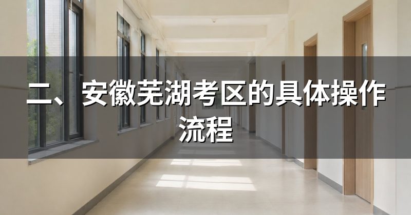 二、安徽芜湖考区的具体操作流程
