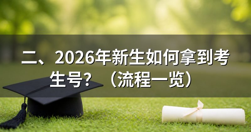 二、2026年新生如何拿到考生号?(流程一览)