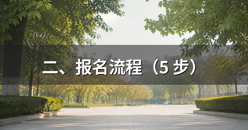 二、报名流程(5 步)