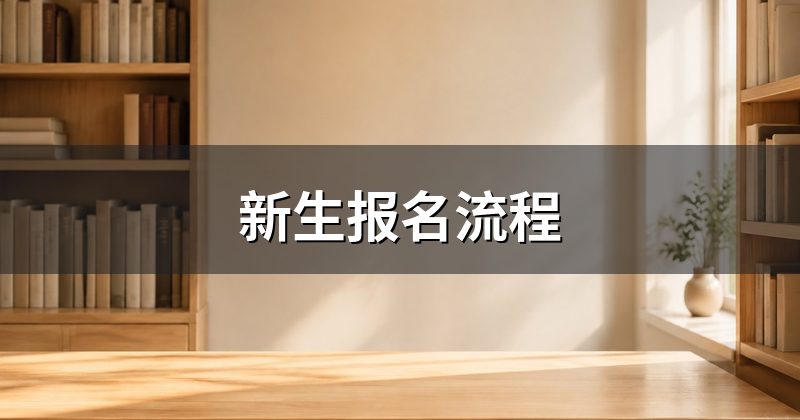 新生报名流程