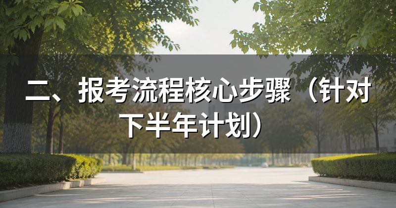 二、报考流程核心步骤(针对下半年计划)