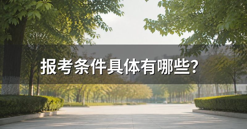 报考条件具体有哪些?