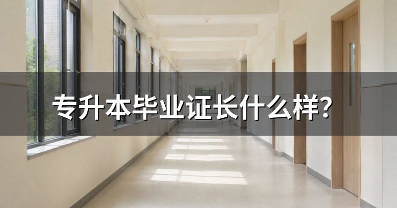 专升本毕业证长什么样?