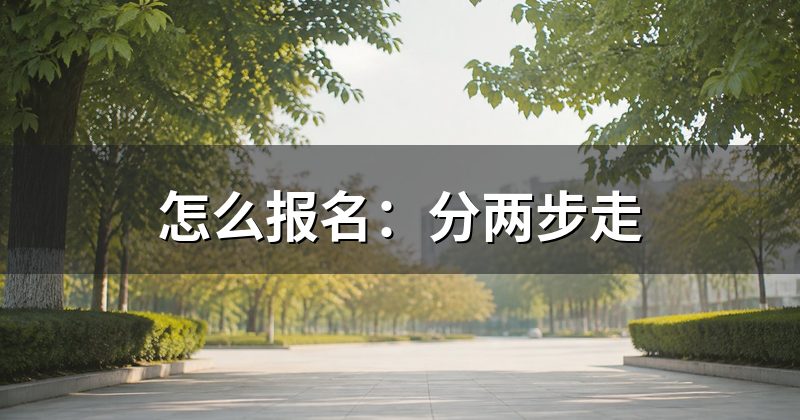 怎么报名:分两步走